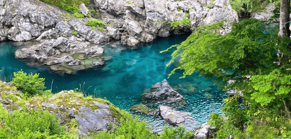 いち 川辺 6