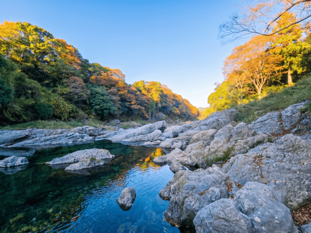 いち 川辺 8