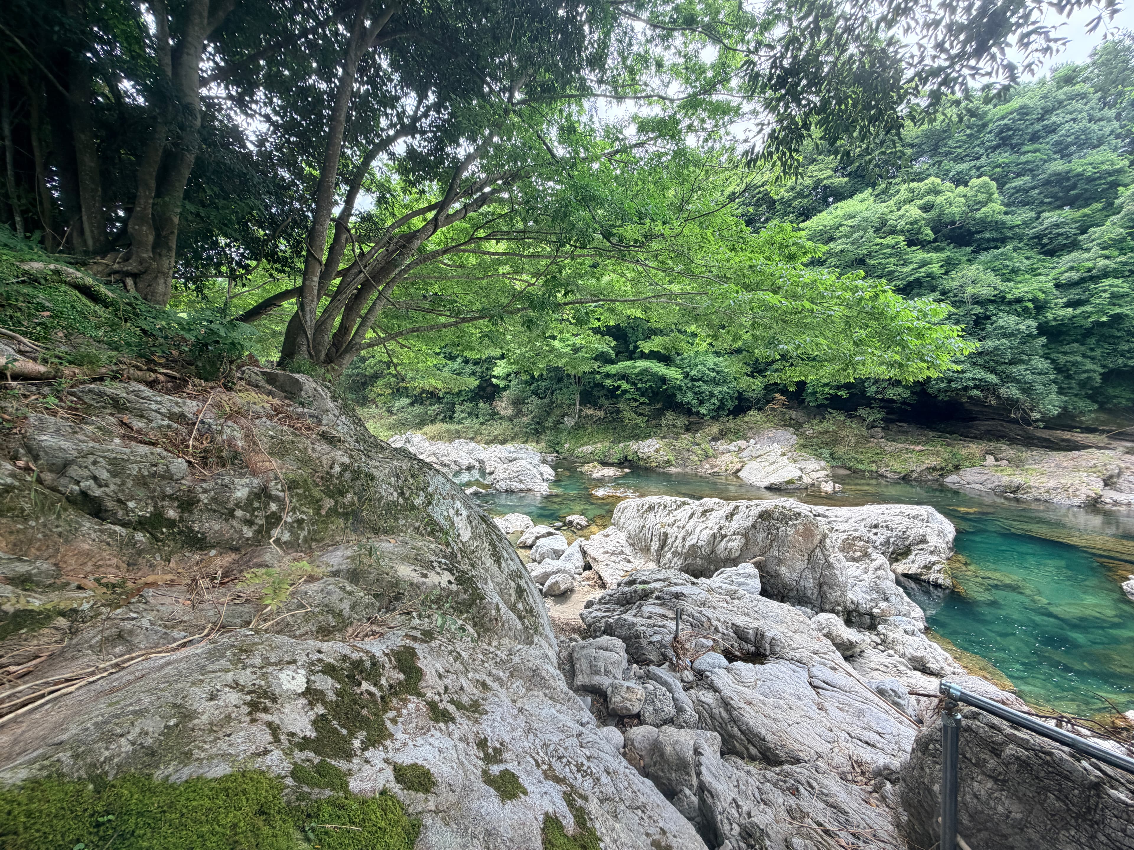 宿のかたわらを流れる大内山川の川辺